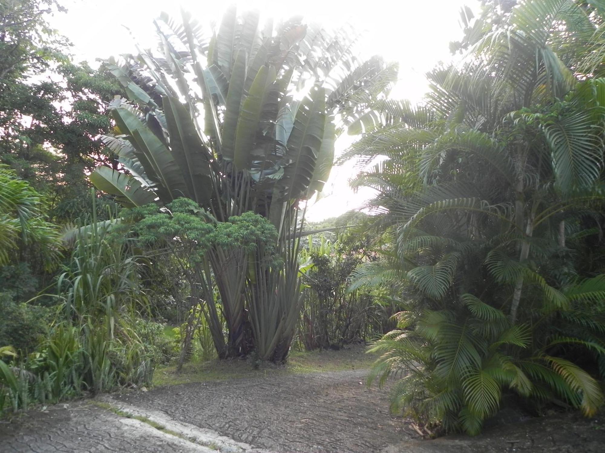 Villa Mielecajou, Entre Mer Et Montagne เดเอ ภายนอก รูปภาพ
